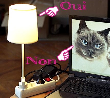 [Katze+im+Internet.jpg]