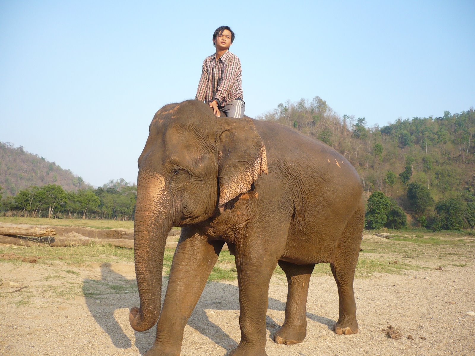 [Elephant+Nature+Park+053.jpg]