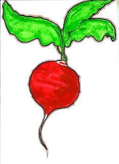 Featured image of post Radish Drawing New users enjoy 60 off