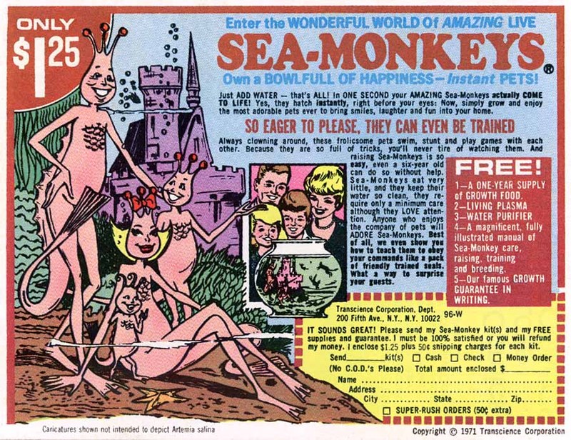 [Sea+Monkeys.jpg]