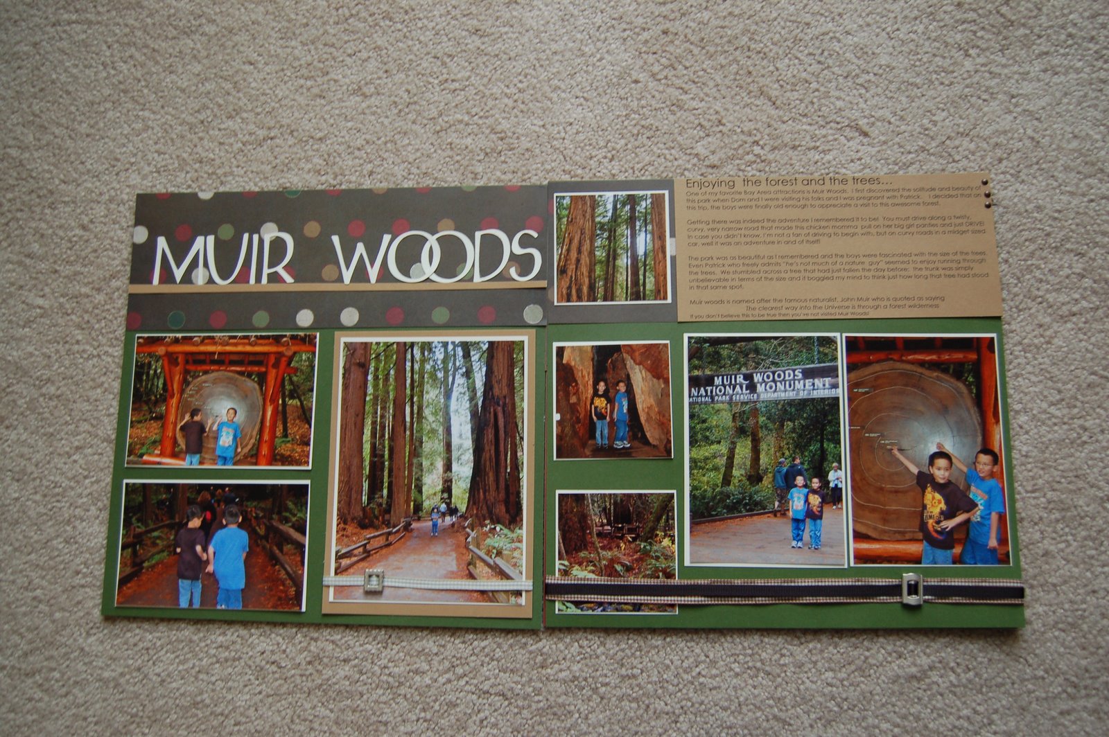[Muir+Woods5.JPG]