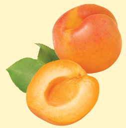 [apricots.jpg]
