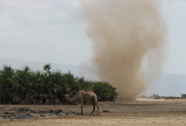 [Camel+Dust+Tornado.jpg]