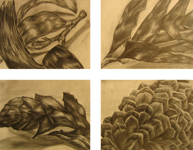 Su Kim, study of organic form, graphite on paper, 2007