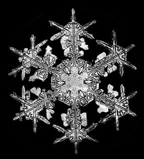 [snowflakes.+cropped.+cropped.+cropped.jpg]