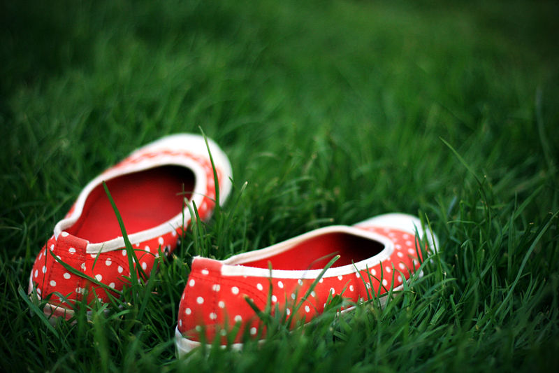 [800px-Shoes_in_the_grass.jpg]