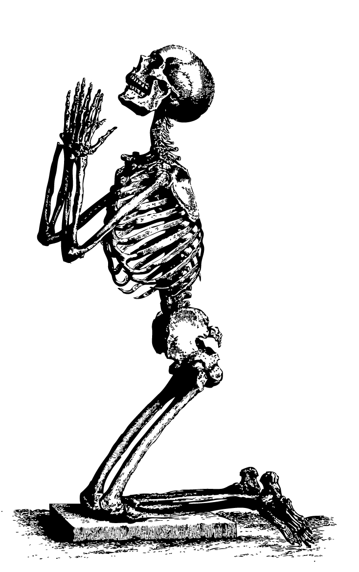 [mlf-skeleton-pd-05-kj0022.jpg]