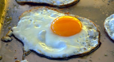 [fried_egg.jpg]