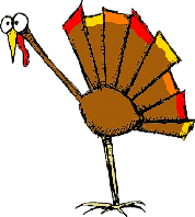 [turkey2.gif]