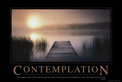[Contemplation-Posters.jpg]