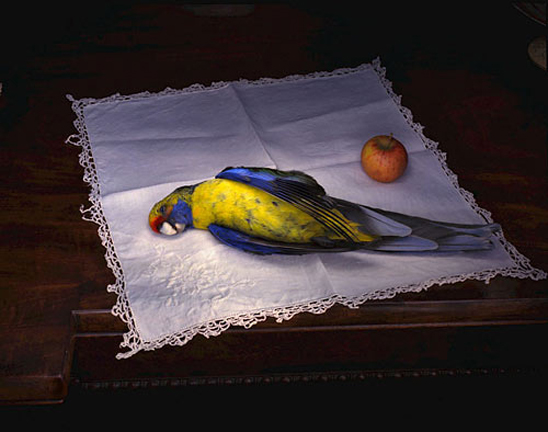 [serviette-with-Parrot.jpg]
