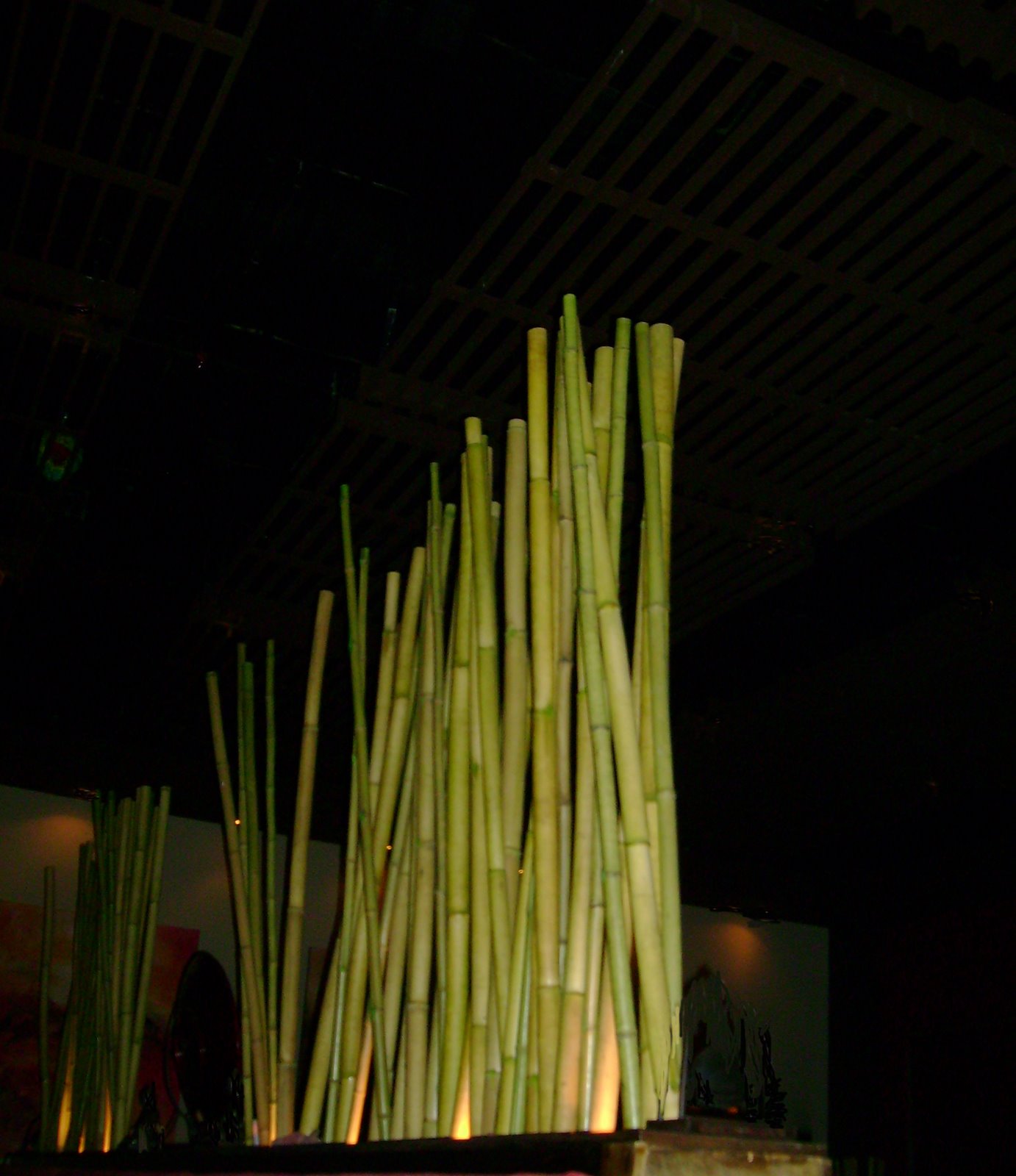 [Bamboo+Sticks.jpg]