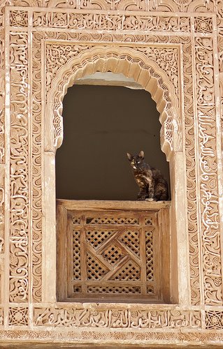 [Marrakech.jpg]