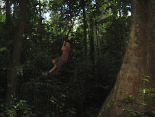 Jungle Swinging
