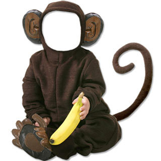 [monkey.jpg]