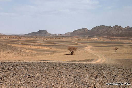 [Desert.jpg]