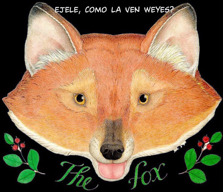 [the_fox.jpg]