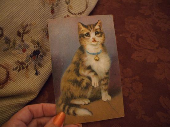 [cat+postcard+close.JPG]