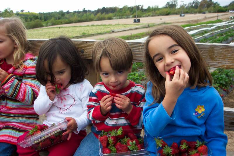 [kids+strawberries.jpg]