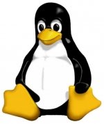 [linux-penguin-big_origpreview.jpg]