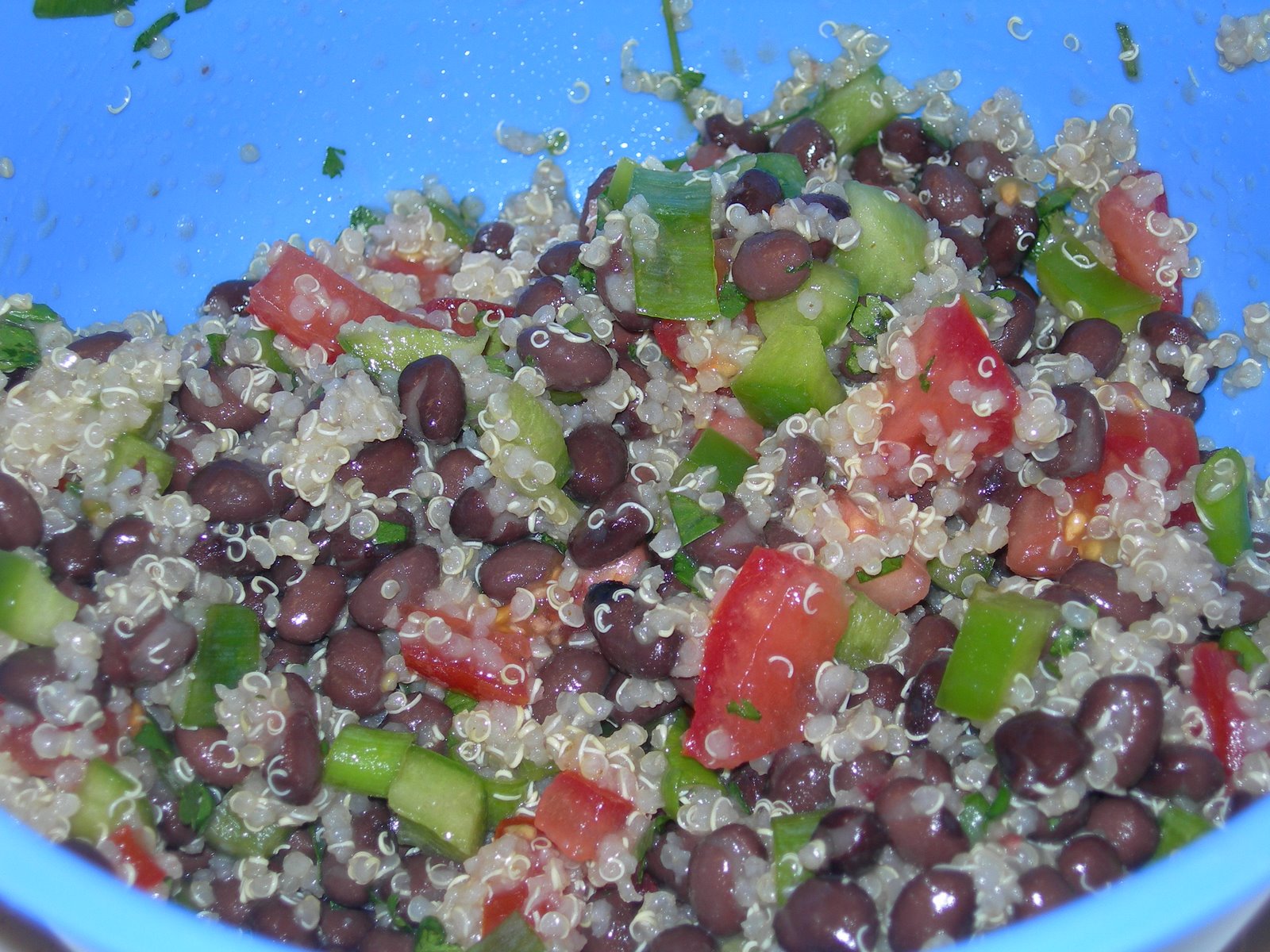 [Quinoa+Black+Bean+Salad.JPG]