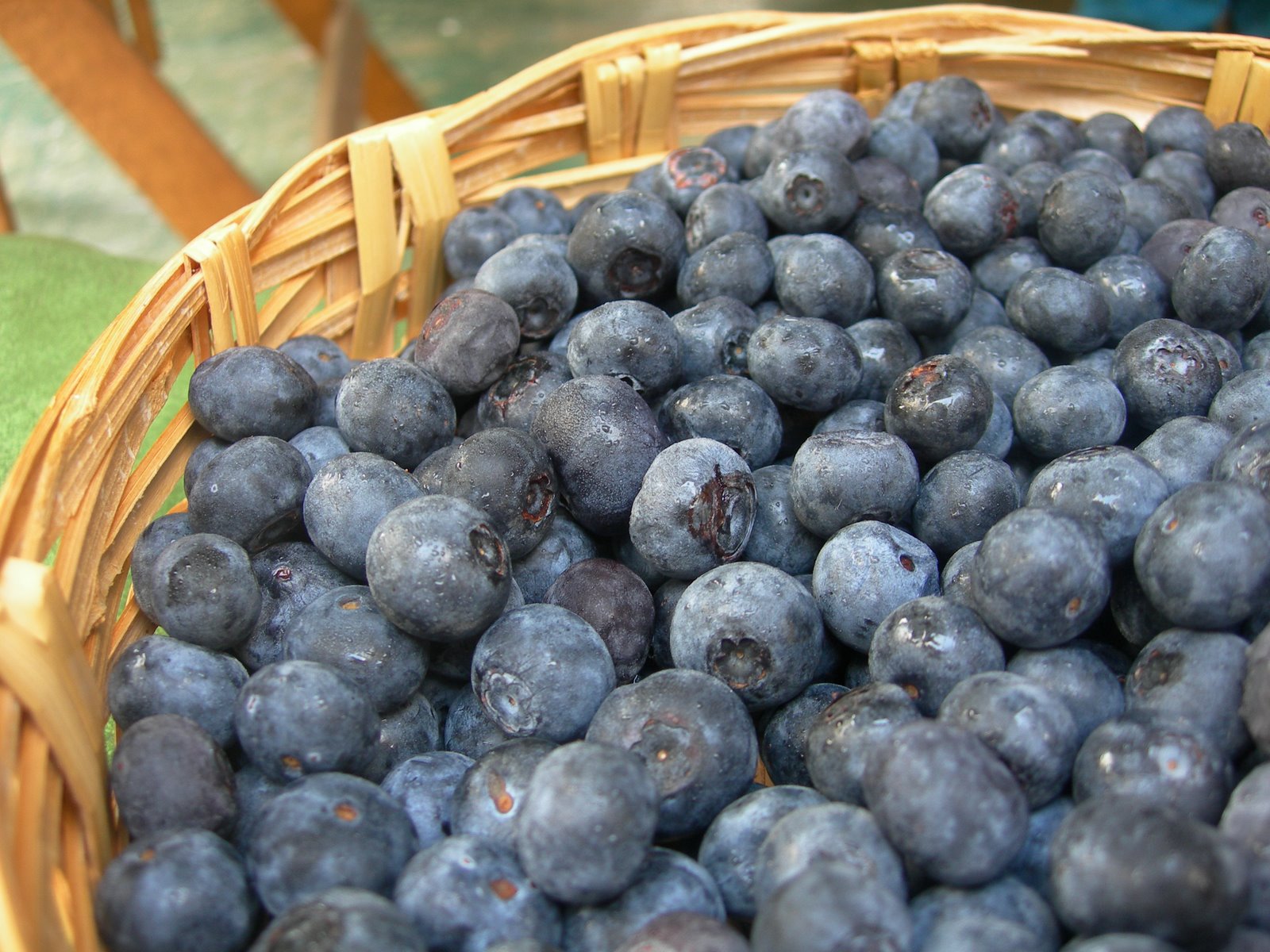 [Blueberry+Bowl.JPG]