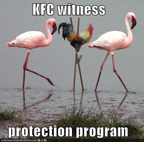 [funny-pictures-kfc-chicken-stilts-flamingos.jpg]