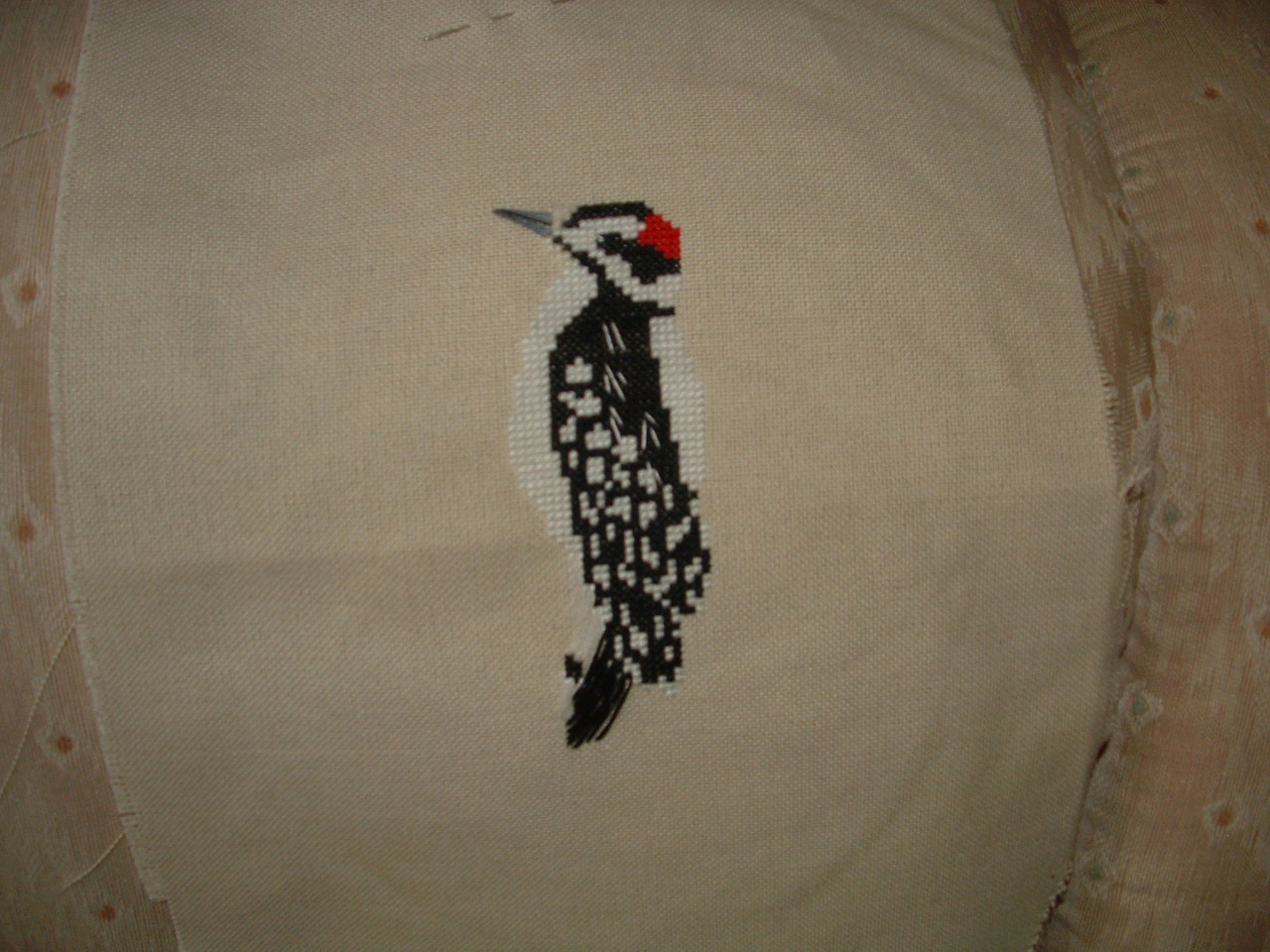 [Woodpecker.jpg]