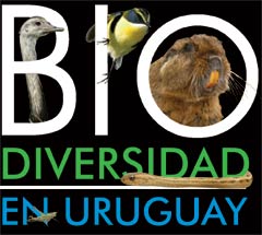 Biodiversidad en Uruguay, el multimedia