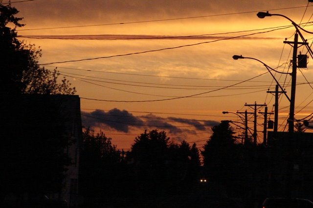 [sunset+57.jpg]