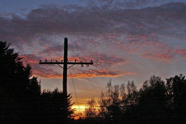 [sunset+on+telegraph+wires.jpg]