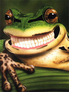 [Frog_4.jpg]