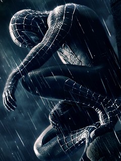 [Film_SpiderMan_1.jpg]