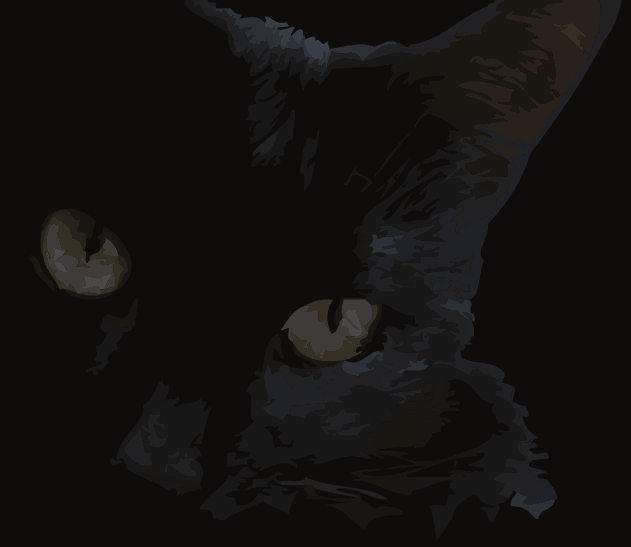 [blackcat.gif]