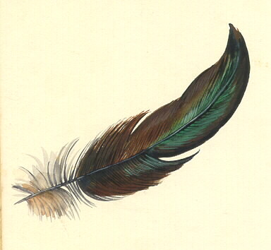 [feather.jpg]