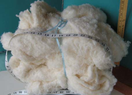 [cotton-stuffing-bulk.jpg]