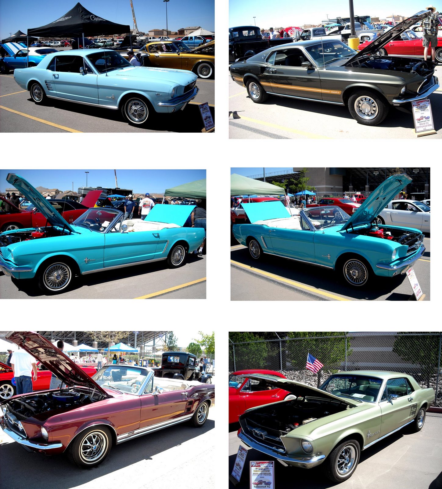 [Mustangs+at+Car+Show+today.jpg]