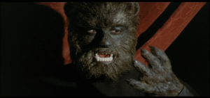 [wolfman.png]
