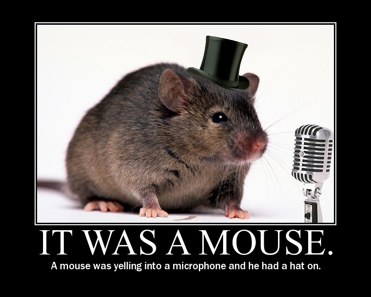 [it_was_a_mouse.jpg]