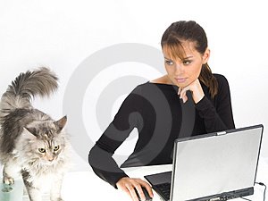 [woman-with-laptop-and-cat-thumb2127176.jpg]