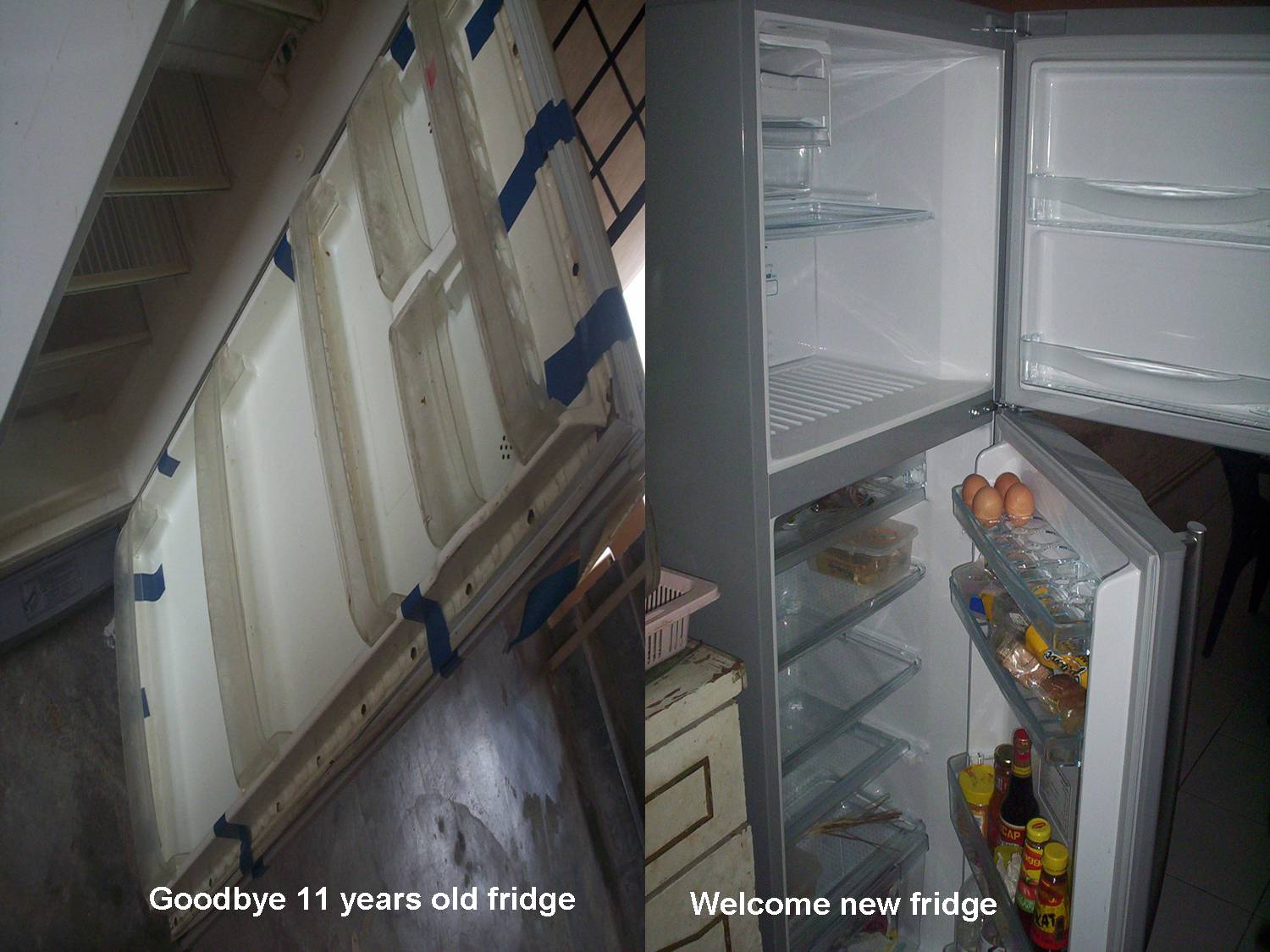 [fridge.jpg]
