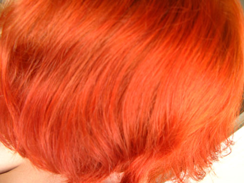 [redhead.jpg]