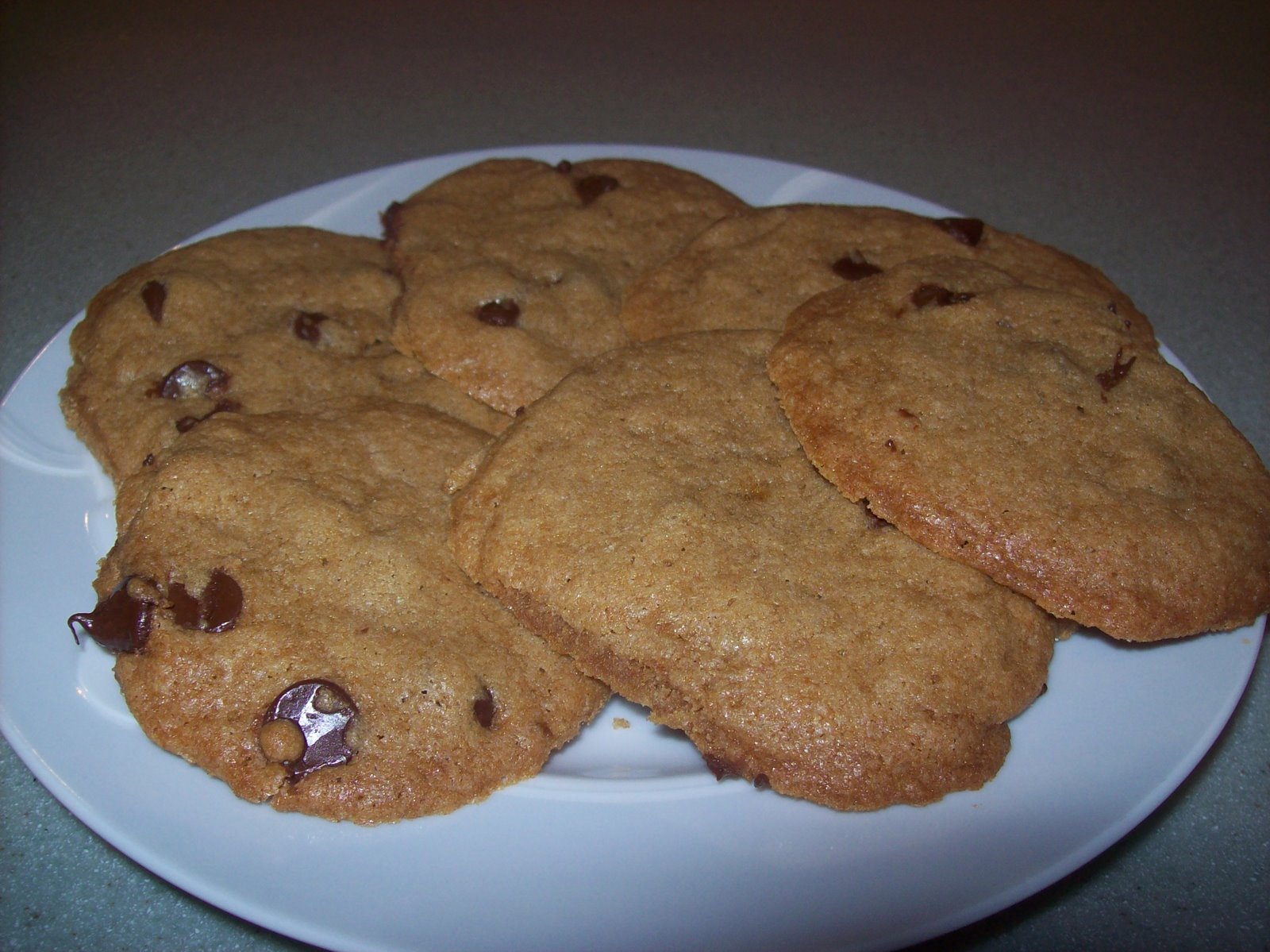 [chocolate+chip+cookies+june08+002.jpg]