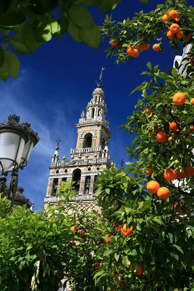 [400px-Giralda_Tower_Seville_Spain.jpg]