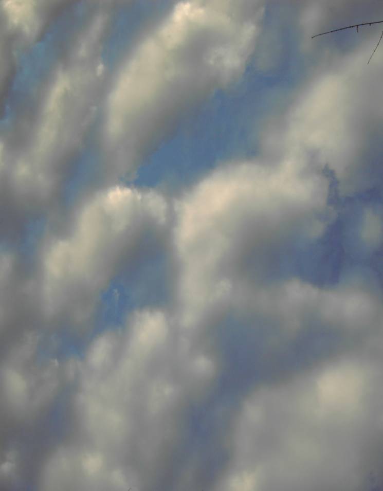 [clouds+008.jpg]