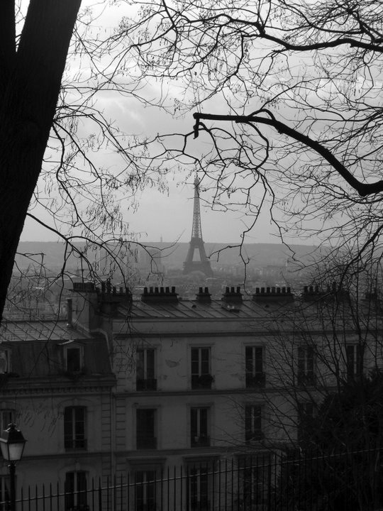 [Eiffel+from+Montmartre+Winter.jpg]