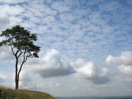 [Clouds+and+Lone+Tree1.jpg]