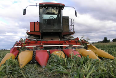 [agricultural_machinery_385x261.jpg]