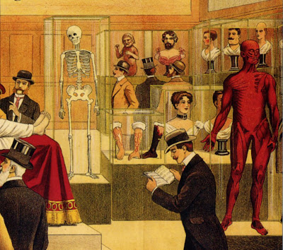 Plakat für ein anatomisches Museum, Hamburg, 1913