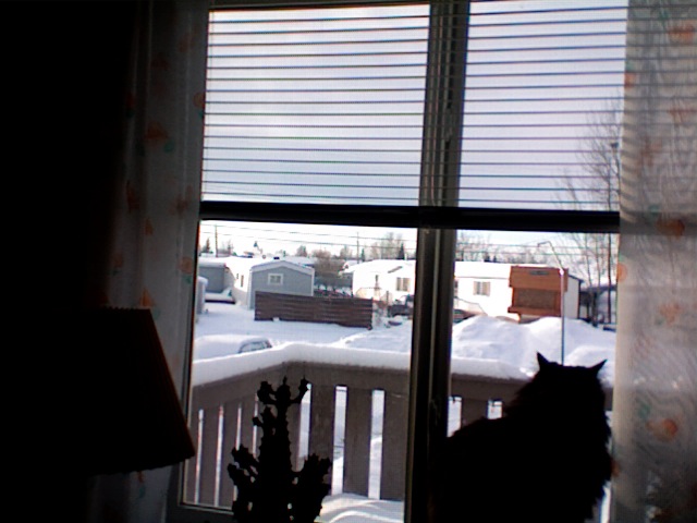 [Eddie+looking+out+window.jpg]